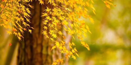 秋分节气的含义是什么