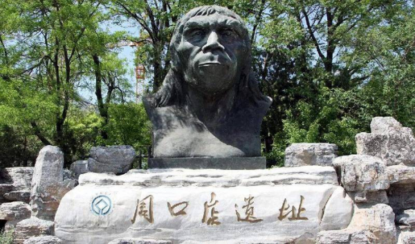 人类的祖先是什么动物