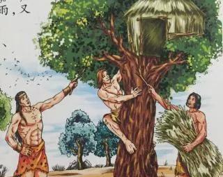 人类的祖先是什么动物