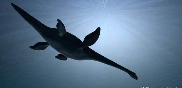 尼斯湖水怪之谜的真相