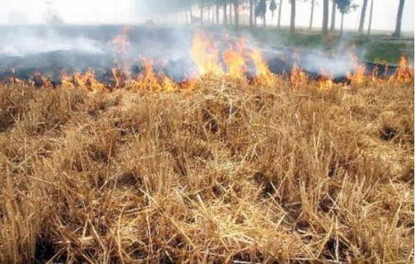 明朝小冰河时期有多冷