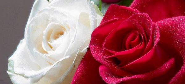 如何追到自己喜欢的男生