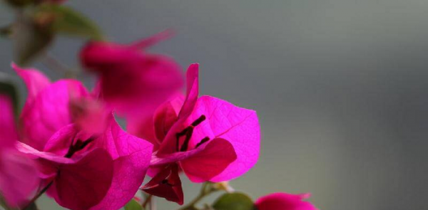 如何追到自己喜欢的男生