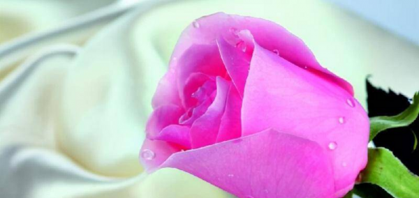 如何追到自己喜欢的男生