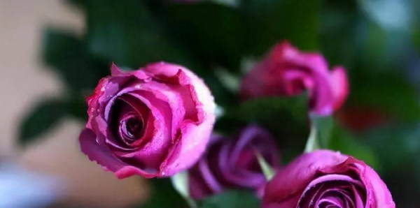 如何追到自己喜欢的男生