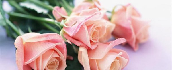 如何追到自己喜欢的男生