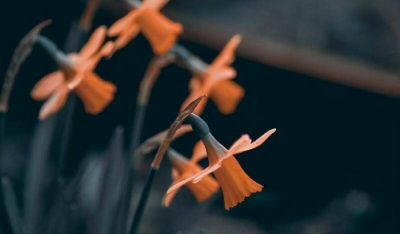 男生会陪没兴趣的人聊天吗 男生会跟不喜欢的人天天聊天吗