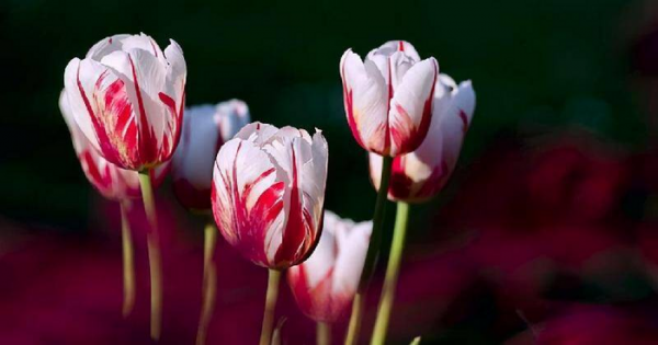 男生会陪没兴趣的人聊天吗