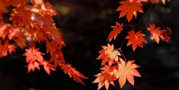 男生会陪没兴趣的人聊天吗
