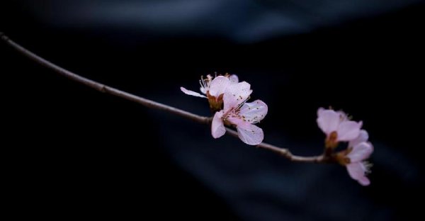 男生会陪没兴趣的人聊天吗