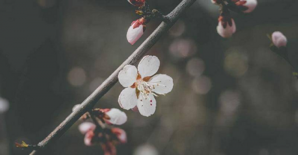 男生会陪没兴趣的人聊天吗