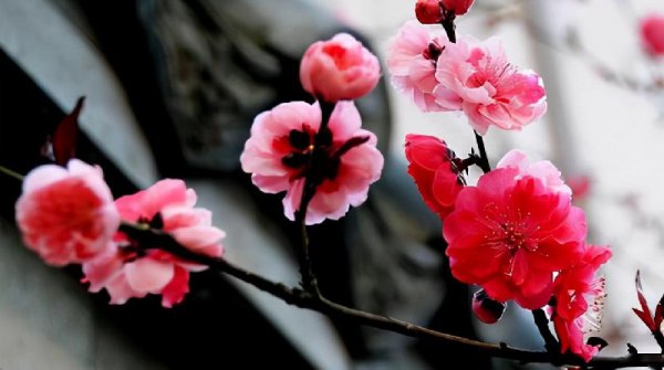 男生会陪没兴趣的人聊天吗