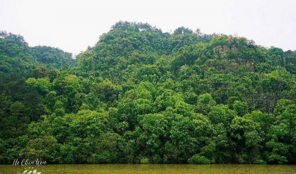 富春山居图画的是哪里