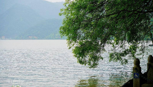 富春山居图画的是哪里