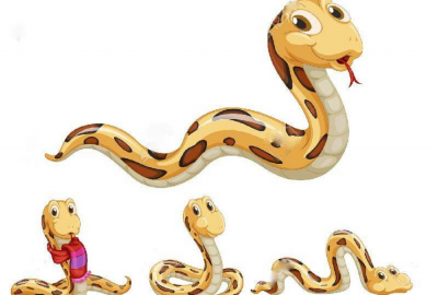 世界上最大的森蚺图片 最大的森蚺长什么样子