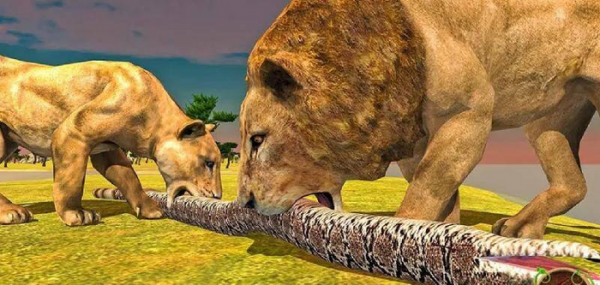 世界上最大的森蚺图片