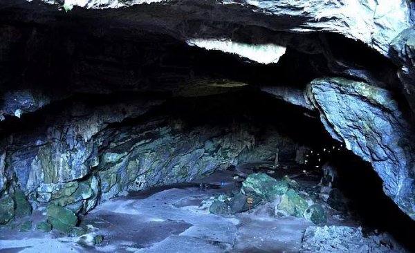 墨西哥鹰洋哪一年的贵