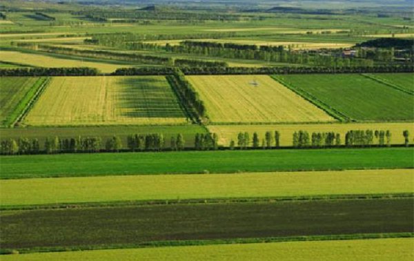 我国面积最大的平原是哪个