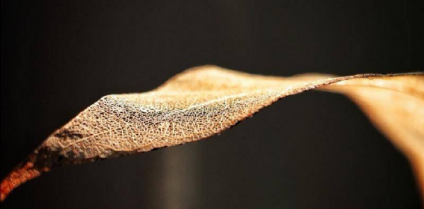 男生问你在干嘛怎么幽默回答