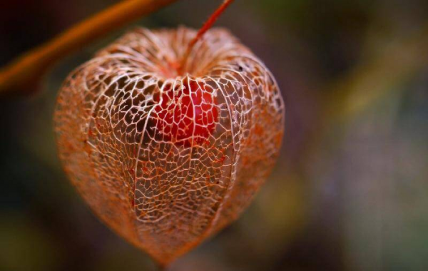 男生问你在干嘛怎么幽默回答