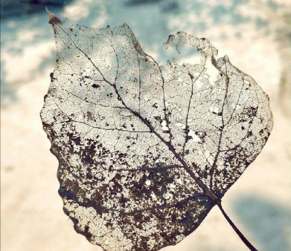 男生问你在干嘛怎么幽默回答