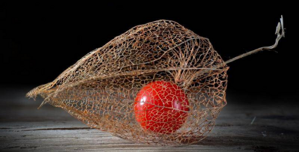 男生问你在干嘛怎么幽默回答