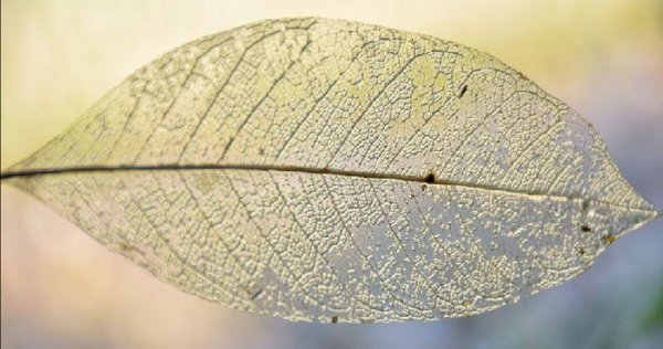 男生问你在干嘛怎么幽默回答