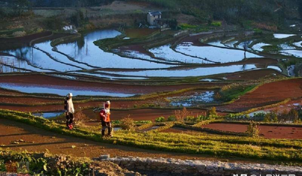 身怀六甲的六甲是什么意思