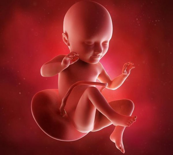 身怀六甲的六甲是什么意思