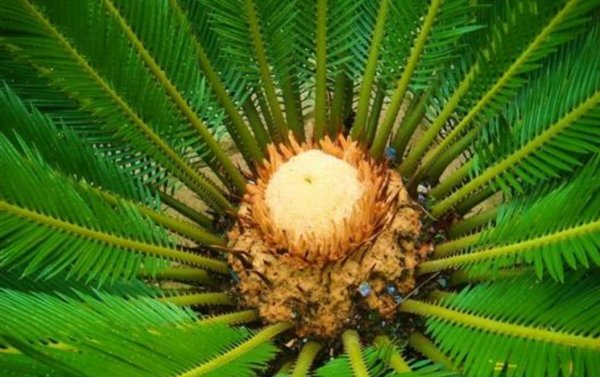 恐龙在地球上生活了多少年