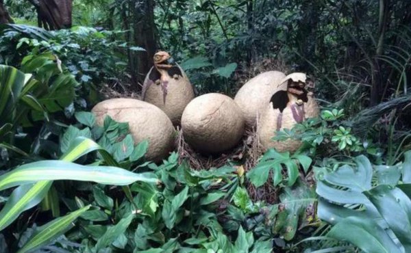 恐龙在地球上生活了多少年