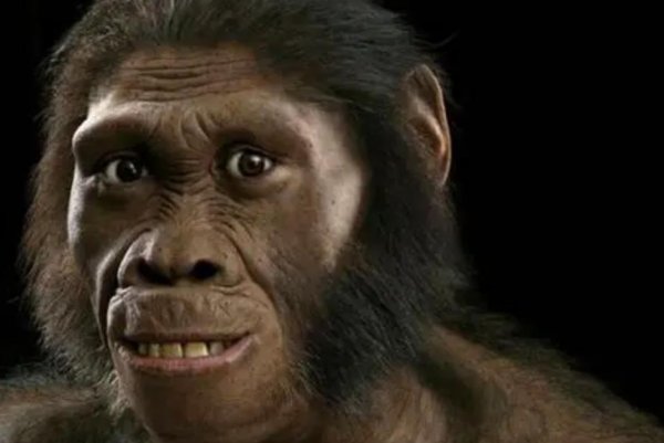 恐龙在地球上生活了多少年