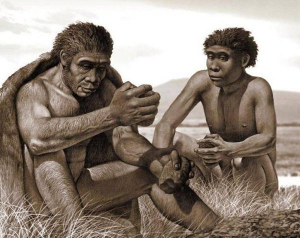 恐龙在地球上生活了多少年