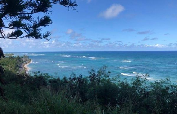 望洋兴叹这个成语出自哪里