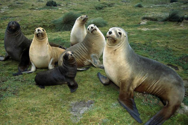 世界上最深的湖是什么湖