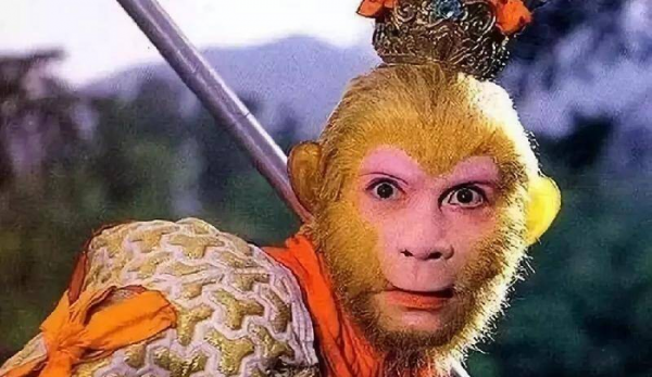 如何提高团队凝聚力和执行力