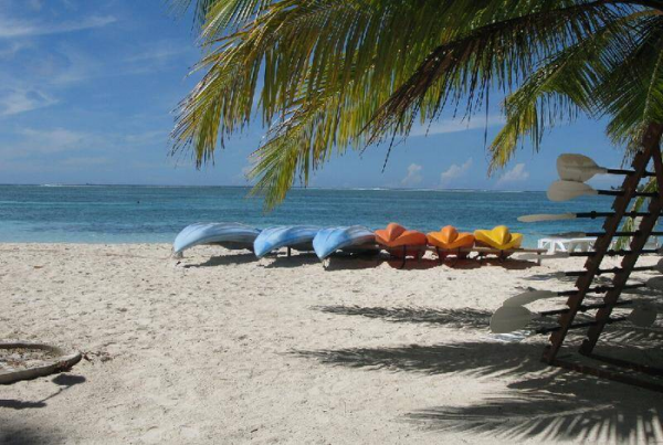 现在完成时和一般过去时的区别