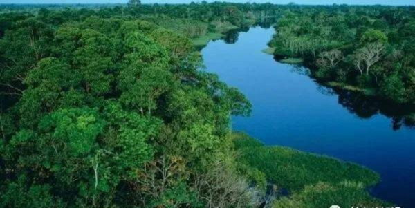 世界上最大的平原是哪个平原