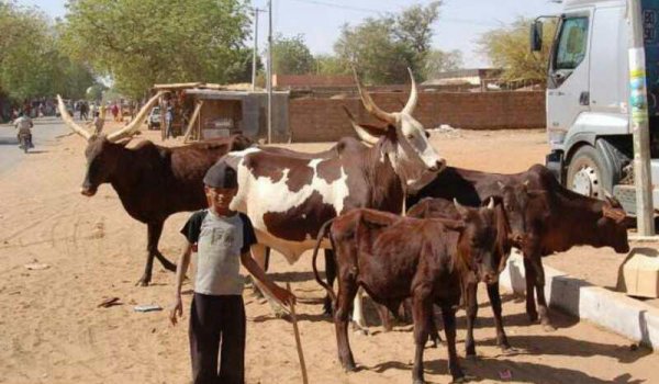 世界最穷的国家排名