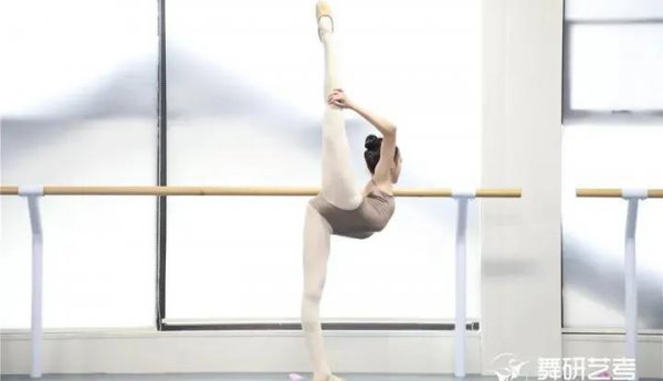 学舞蹈能坚持到几年级