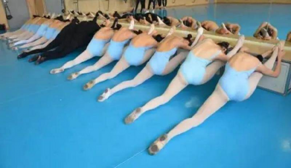 学舞蹈能坚持到几年级