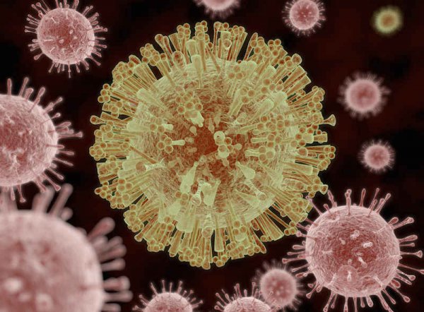 人类是怎么进化而来的