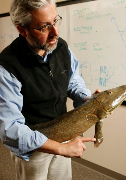 人类是怎么进化而来的