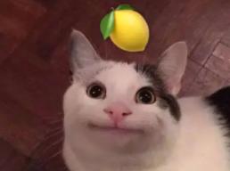 直播赚钱吗一个月赚多少钱