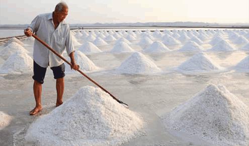 中国最大的盐场在哪个海域