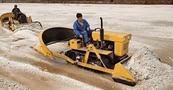 中国最大的盐场在哪个海域