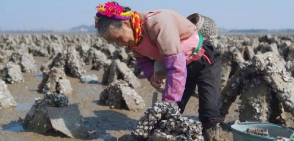 海上丝绸之路的起点城市是哪里