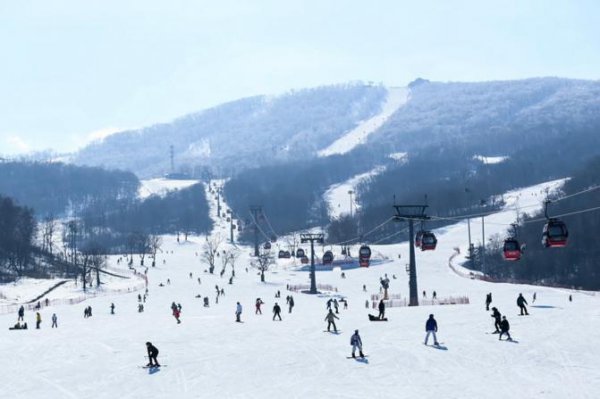 滑雪机学会了能上真雪吗