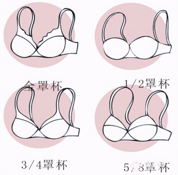 女人内衣尺码怎么选择