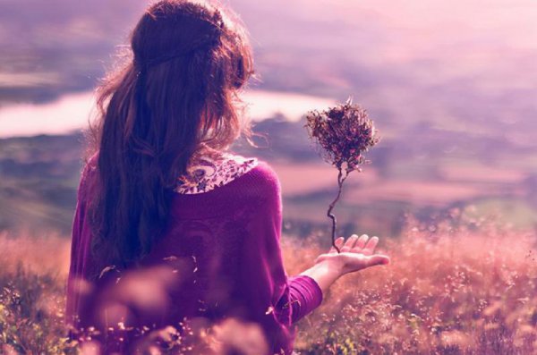 越是有钱的男人越喜欢的女人